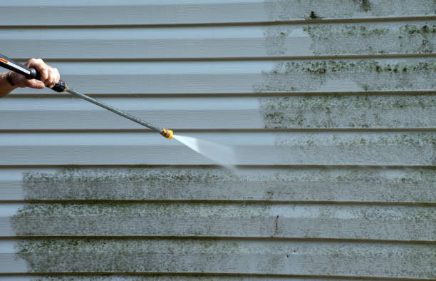 Best Home Mold Removal  in Pomeroy, WA