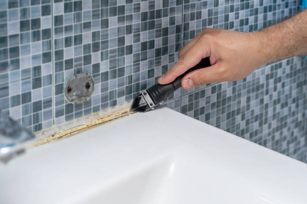 Best Mold Testing  in Pomeroy, WA