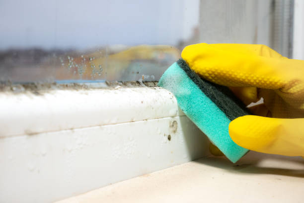 Best Mold Testing  in Pomeroy, WA