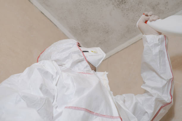 Home Mold Removal in Pomeroy, WA
